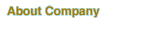 About Company